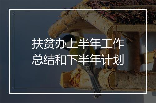 扶贫办上半年工作总结和下半年计划