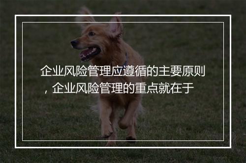 企业风险管理应遵循的主要原则，企业风险管理的重点就在于