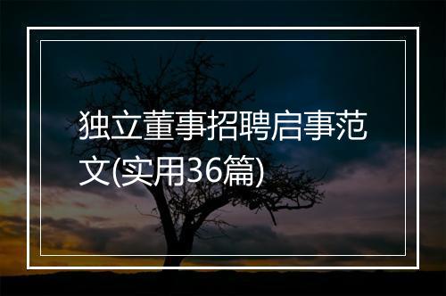 独立董事招聘启事范文(实用36篇)