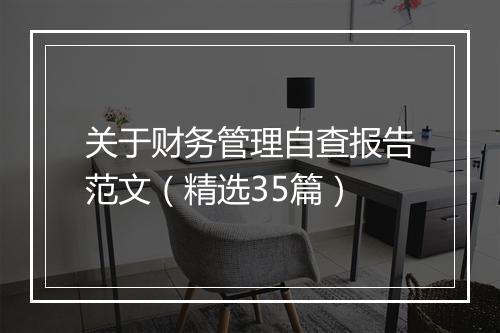 关于财务管理自查报告范文（精选35篇）