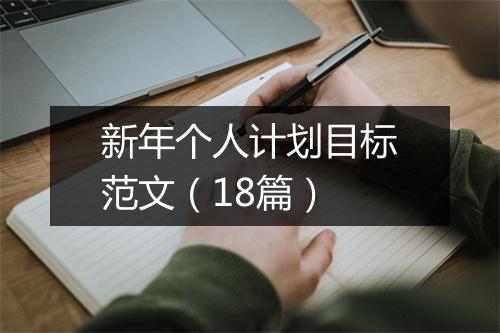新年个人计划目标范文（18篇）
