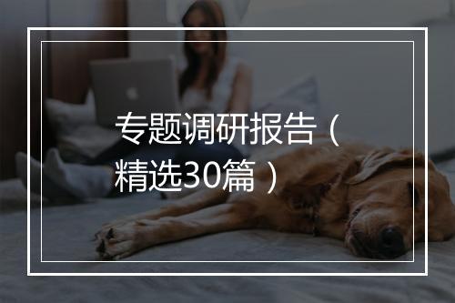 专题调研报告（精选30篇）