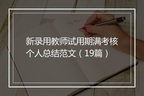 新录用教师试用期满考核个人总结范文（19篇）