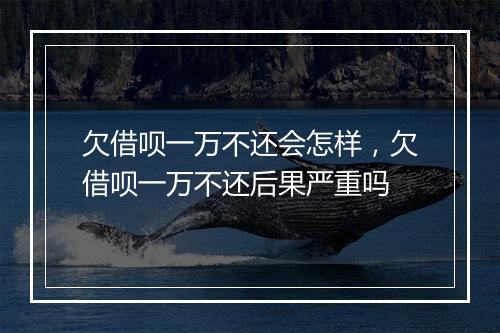 欠借呗一万不还会怎样，欠借呗一万不还后果严重吗