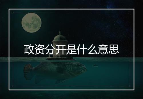 政资分开是什么意思