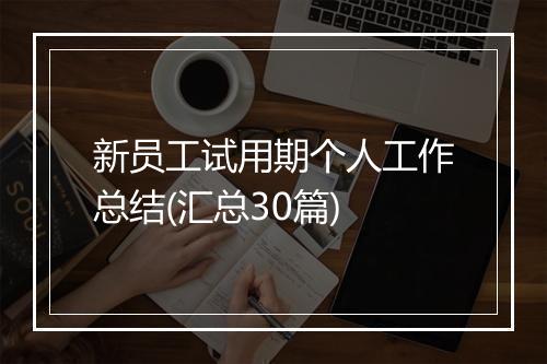 新员工试用期个人工作总结(汇总30篇)