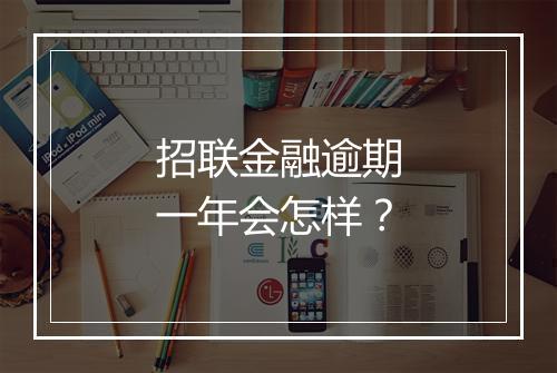 招联金融逾期一年会怎样？