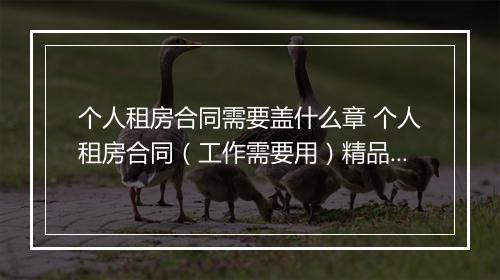 个人租房合同需要盖什么章 个人租房合同（工作需要用）精品通用版10篇