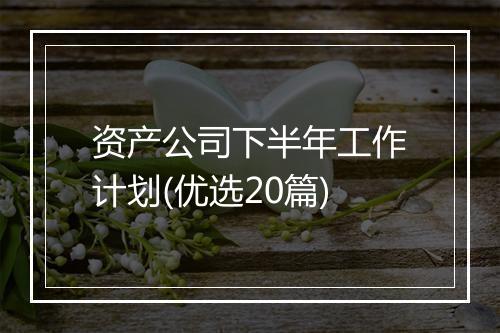资产公司下半年工作计划(优选20篇)