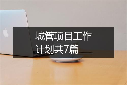 城管项目工作计划共7篇