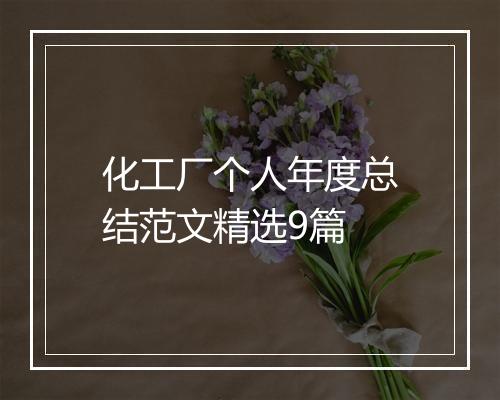 化工厂个人年度总结范文精选9篇