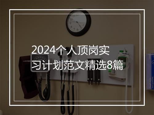 2024个人顶岗实习计划范文精选8篇