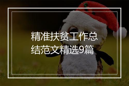 精准扶贫工作总结范文精选9篇
