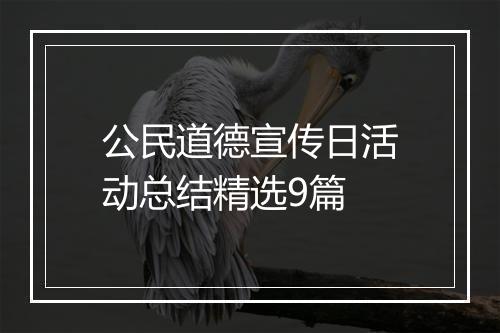 公民道德宣传日活动总结精选9篇