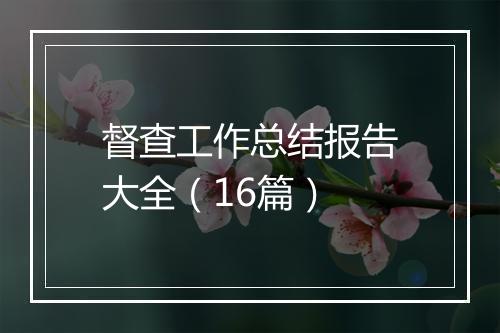 督查工作总结报告大全（16篇）