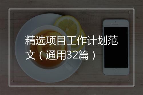 精选项目工作计划范文（通用32篇）