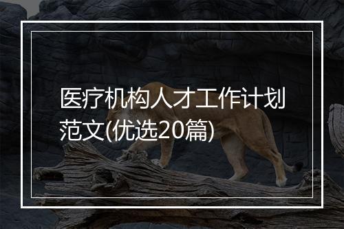 医疗机构人才工作计划范文(优选20篇)