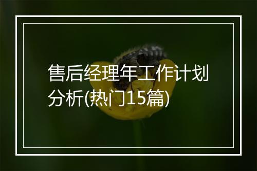 售后经理年工作计划分析(热门15篇)