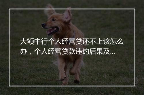 大额中行个人经营贷还不上该怎么办，个人经营贷款违约后果及解决方法