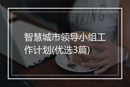 智慧城市领导小组工作计划(优选3篇)