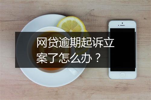 网贷逾期起诉立案了怎么办？