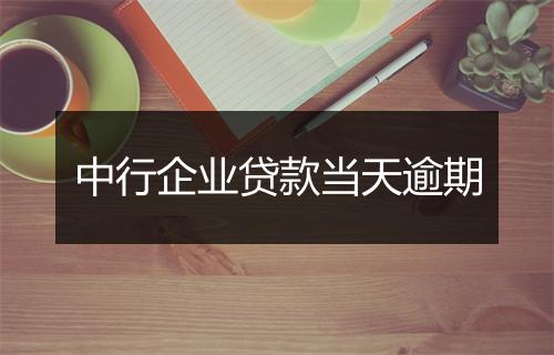 中行企业贷款当天逾期
