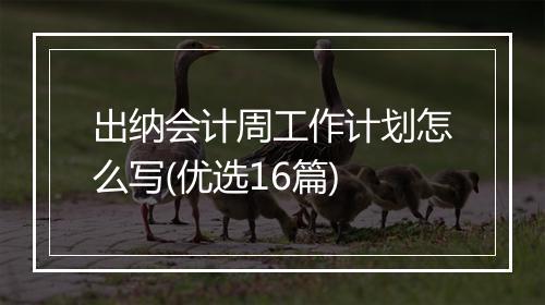 出纳会计周工作计划怎么写(优选16篇)