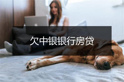 欠中银银行房贷