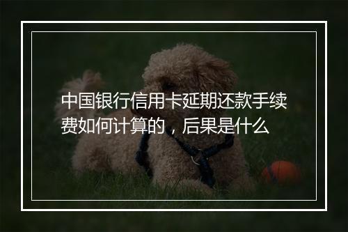 中国银行信用卡延期还款手续费如何计算的，后果是什么
