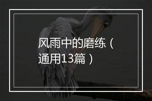 风雨中的磨练（通用13篇）