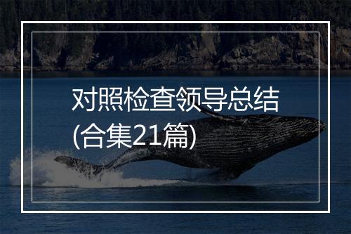 对照检查领导总结(合集21篇)