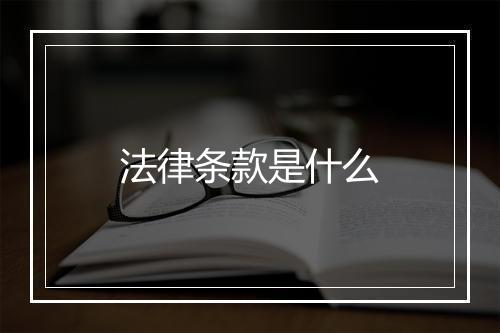 法律条款是什么