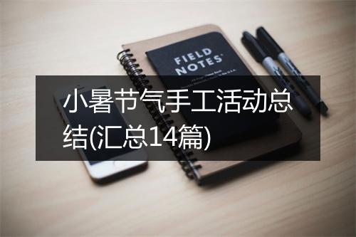 小暑节气手工活动总结(汇总14篇)