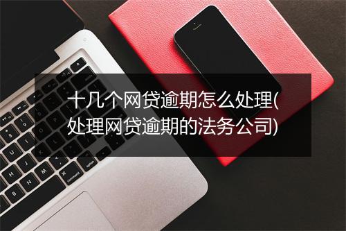 十几个网贷逾期怎么处理(处理网贷逾期的法务公司)