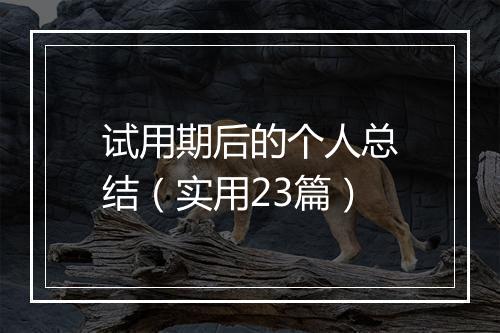 试用期后的个人总结（实用23篇）