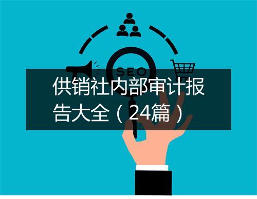 供销社内部审计报告大全（24篇）