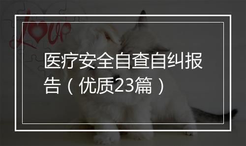 医疗安全自查自纠报告（优质23篇）