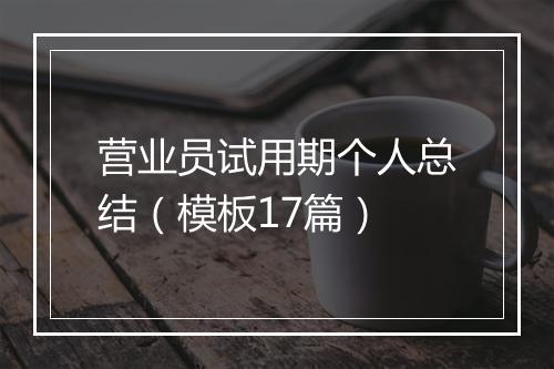 营业员试用期个人总结（模板17篇）