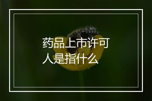 药品上市许可人是指什么