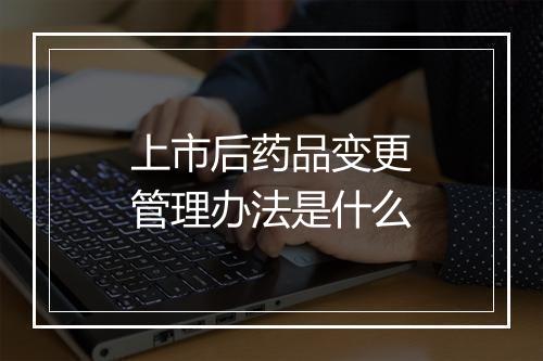 上市后药品变更管理办法是什么
