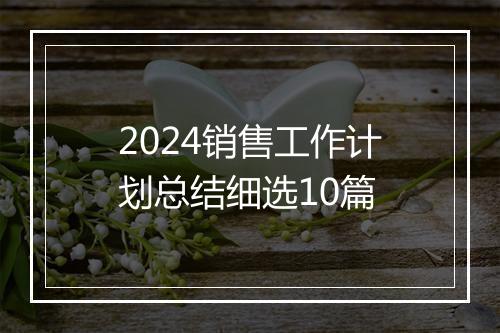 2024销售工作计划总结细选10篇
