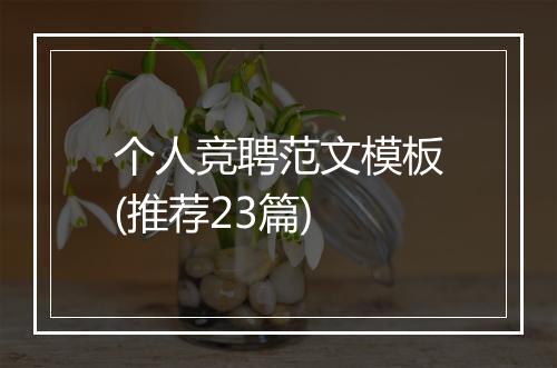 个人竞聘范文模板(推荐23篇)