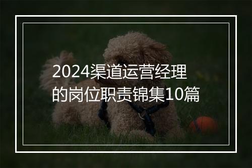 2024渠道运营经理的岗位职责锦集10篇