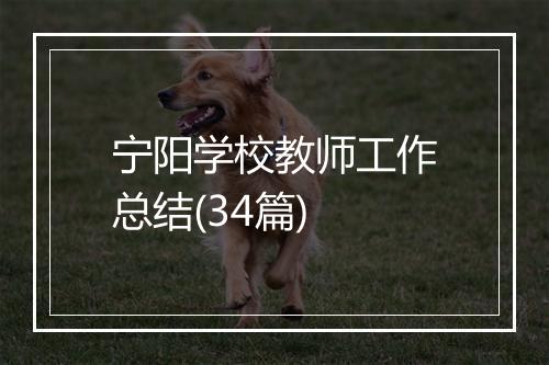 宁阳学校教师工作总结(34篇)