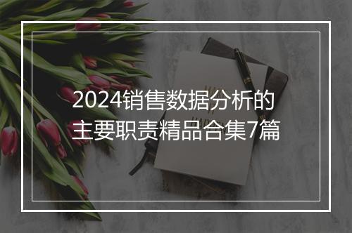 2024销售数据分析的主要职责精品合集7篇