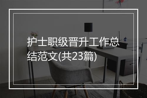 护士职级晋升工作总结范文(共23篇)