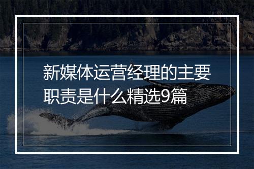 新媒体运营经理的主要职责是什么精选9篇
