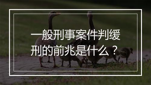 一般刑事案件判缓刑的前兆是什么？