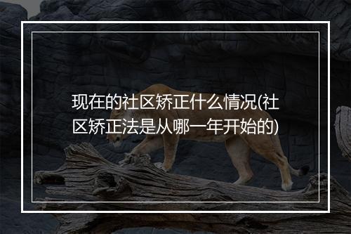 现在的社区矫正什么情况(社区矫正法是从哪一年开始的)