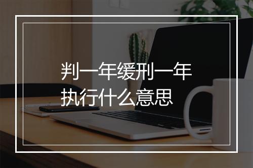 判一年缓刑一年执行什么意思